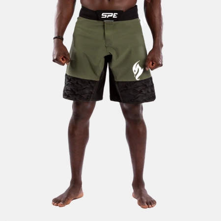 Fight Shorts